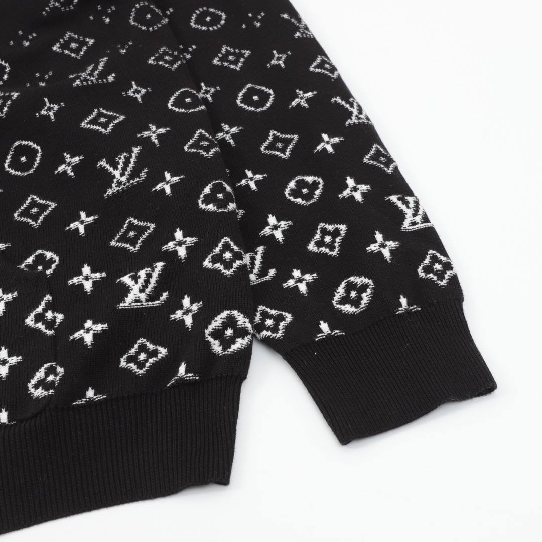 Louis Vuitton Hoodie